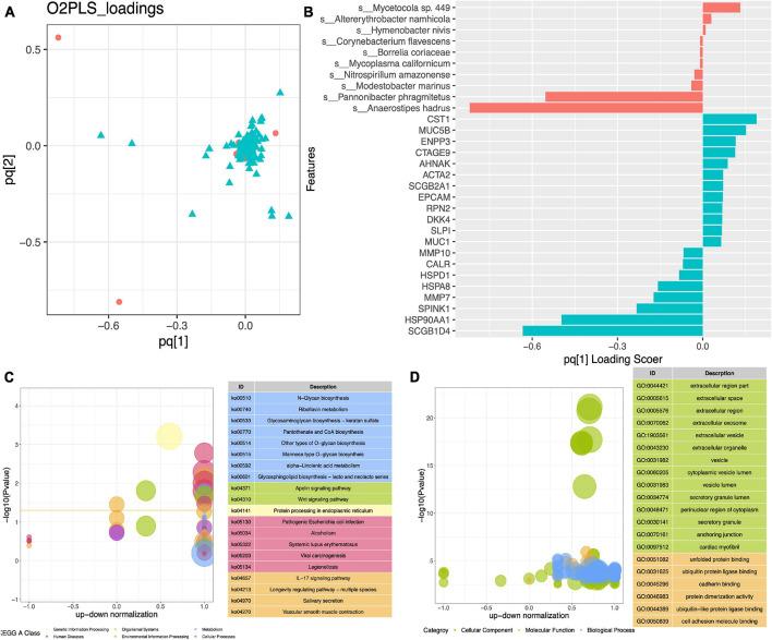 https://cdn.ncbi.nlm.nih.gov/pmc/blobs/184e/8495019/84ad2da2f418/fcell-09-727286-g003.jpg
