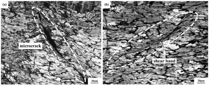 https://cdn.ncbi.nlm.nih.gov/pmc/blobs/184e/8911973/4934c541c686/materials-15-01779-g008.jpg