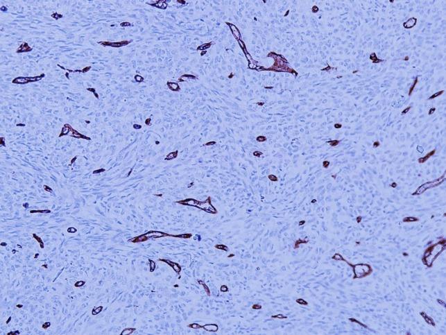 https://cdn.ncbi.nlm.nih.gov/pmc/blobs/1852/6368141/deb4f7178867/rjy345f09.jpg