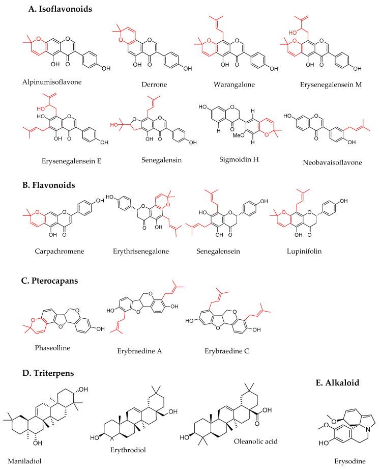 https://cdn.ncbi.nlm.nih.gov/pmc/blobs/1853/8747466/a3e8beee83d2/plants-11-00019-g001.jpg