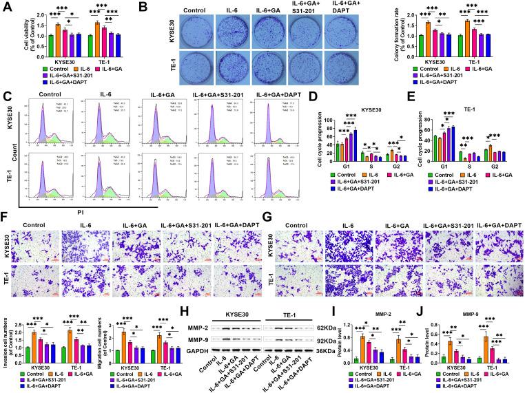 https://cdn.ncbi.nlm.nih.gov/pmc/blobs/1854/12144628/3d8c7ec1e9c3/OncolRes-33-60151-f003.jpg