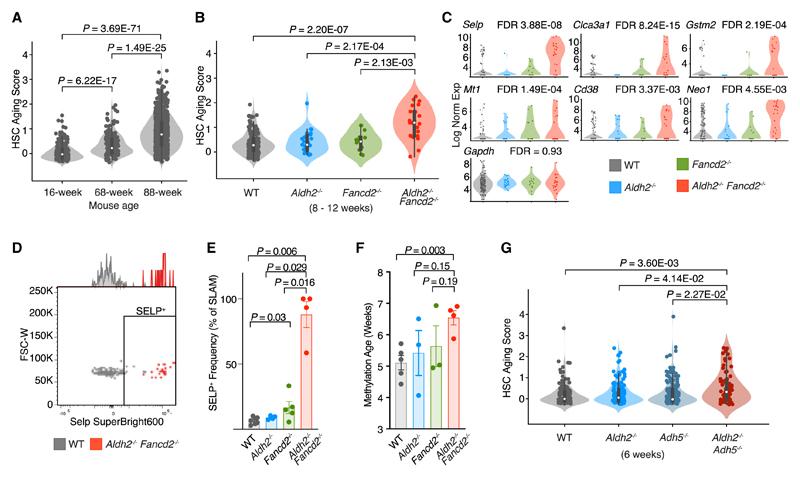 https://cdn.ncbi.nlm.nih.gov/pmc/blobs/1854/7614878/1c0c561581e4/EMS182024-f002.jpg