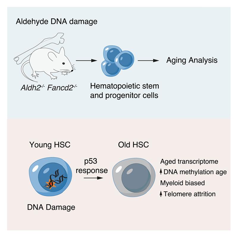 https://cdn.ncbi.nlm.nih.gov/pmc/blobs/1854/7614878/c574f2652cd4/EMS182024-f008.jpg