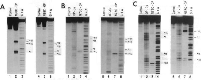 https://cdn.ncbi.nlm.nih.gov/pmc/blobs/1855/43235/14c39bc039bf/pnas01127-0133-a.jpg