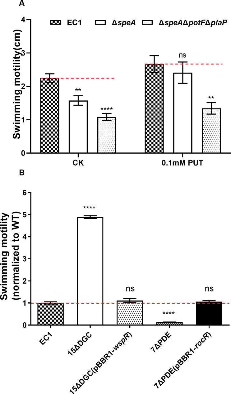 https://cdn.ncbi.nlm.nih.gov/pmc/blobs/1858/12239582/58ff7bd47555/mbio.01016-25.f001.jpg