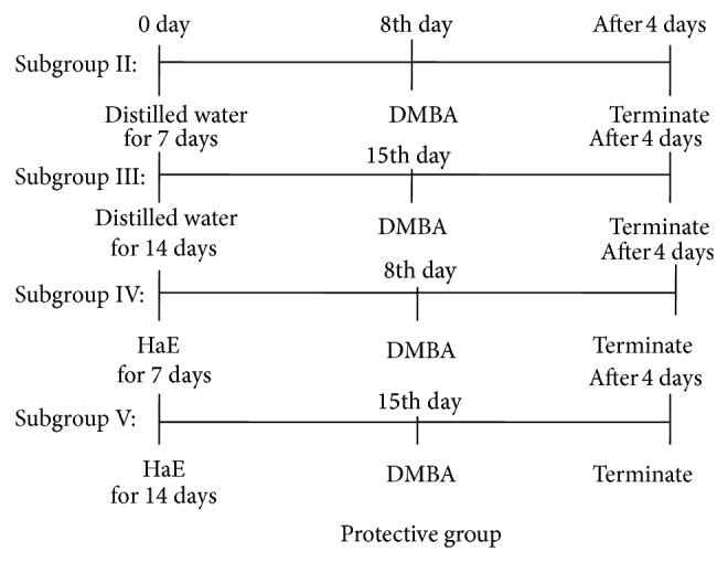 https://cdn.ncbi.nlm.nih.gov/pmc/blobs/1859/4363541/5569e4696b17/BMRI2015-563652.001.jpg