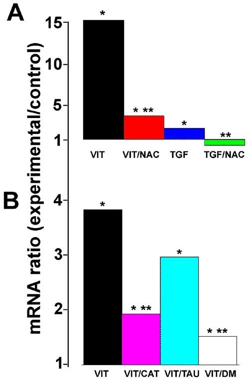 https://cdn.ncbi.nlm.nih.gov/pmc/blobs/185b/2503184/0743b032425c/mv-v13-66-f6.jpg