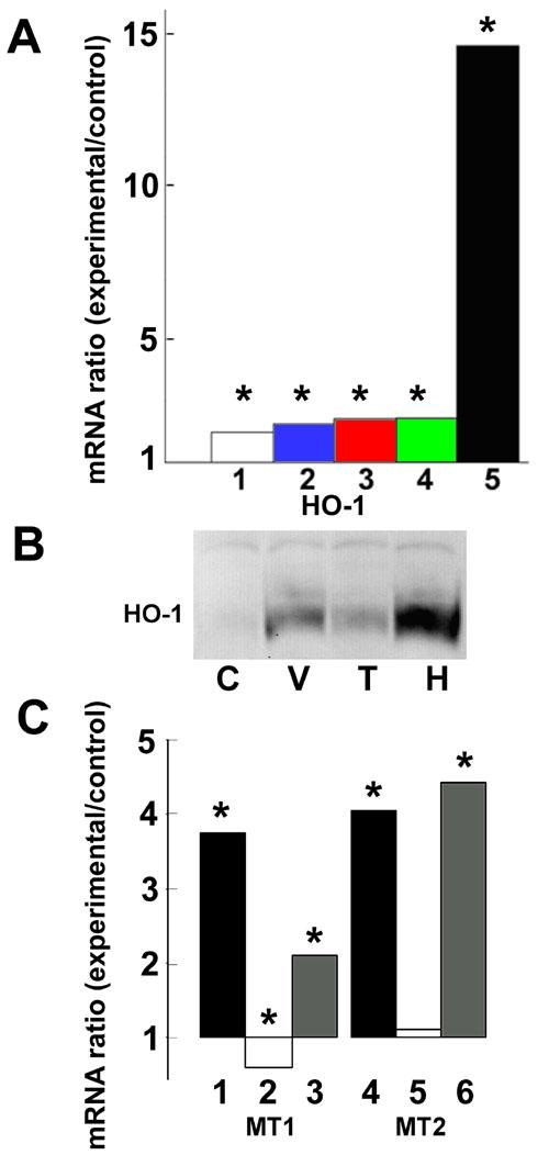 https://cdn.ncbi.nlm.nih.gov/pmc/blobs/185b/2503184/6a0e73225b78/mv-v13-66-f4.jpg