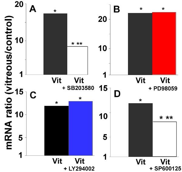 https://cdn.ncbi.nlm.nih.gov/pmc/blobs/185b/2503184/aa53b0067ff5/mv-v13-66-f8.jpg