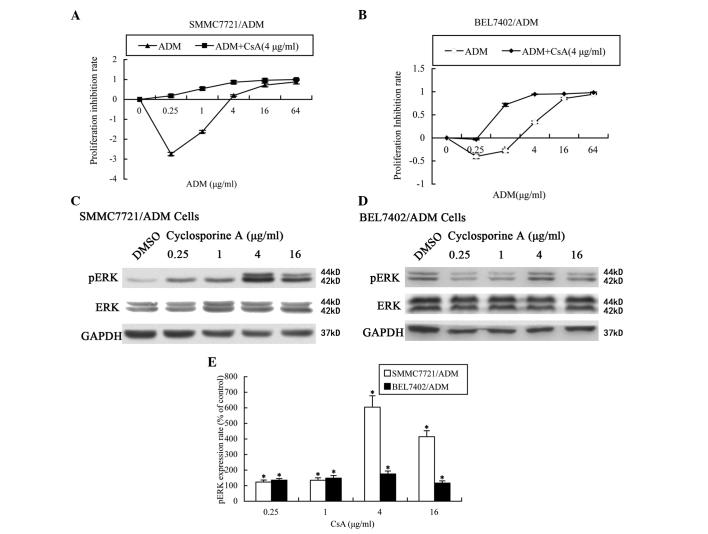 https://cdn.ncbi.nlm.nih.gov/pmc/blobs/185b/4186630/2d29524a1d32/OL-08-05-2333-g03.jpg