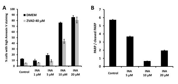https://cdn.ncbi.nlm.nih.gov/pmc/blobs/185c/2666636/f2f2e6d56304/1471-2121-10-21-4.jpg