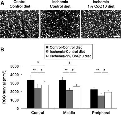 https://cdn.ncbi.nlm.nih.gov/pmc/blobs/185d/3938850/b1fadccb248e/10495_2013_956_Fig3_HTML.jpg