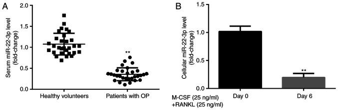 https://cdn.ncbi.nlm.nih.gov/pmc/blobs/185d/8112124/3a56a758900e/etm-22-01-10124-g00.jpg