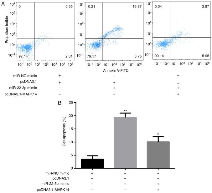 https://cdn.ncbi.nlm.nih.gov/pmc/blobs/185d/8112124/78021174c4f8/etm-22-01-10124-g04.jpg