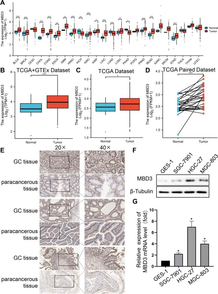 https://cdn.ncbi.nlm.nih.gov/pmc/blobs/1861/10768447/72b1768698c1/12575_2023_228_Fig1_HTML.jpg