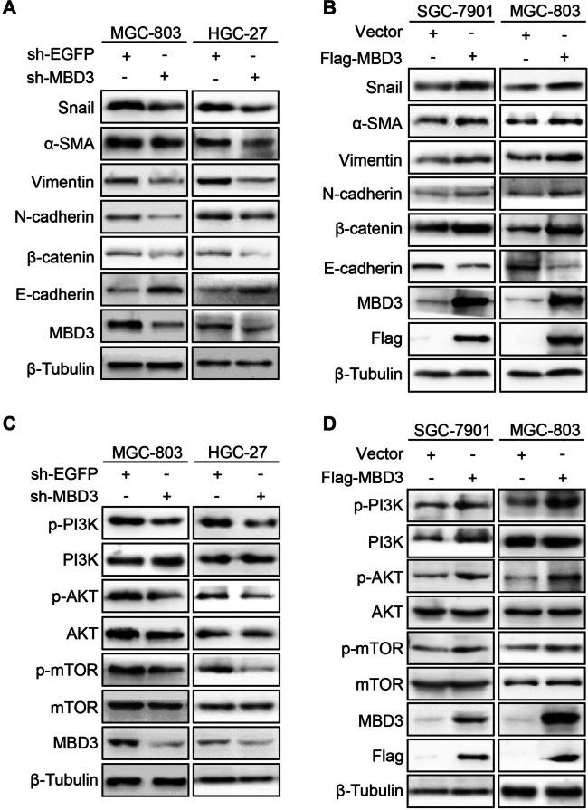 https://cdn.ncbi.nlm.nih.gov/pmc/blobs/1861/10768447/a55a2cdb91be/12575_2023_228_Fig5_HTML.jpg