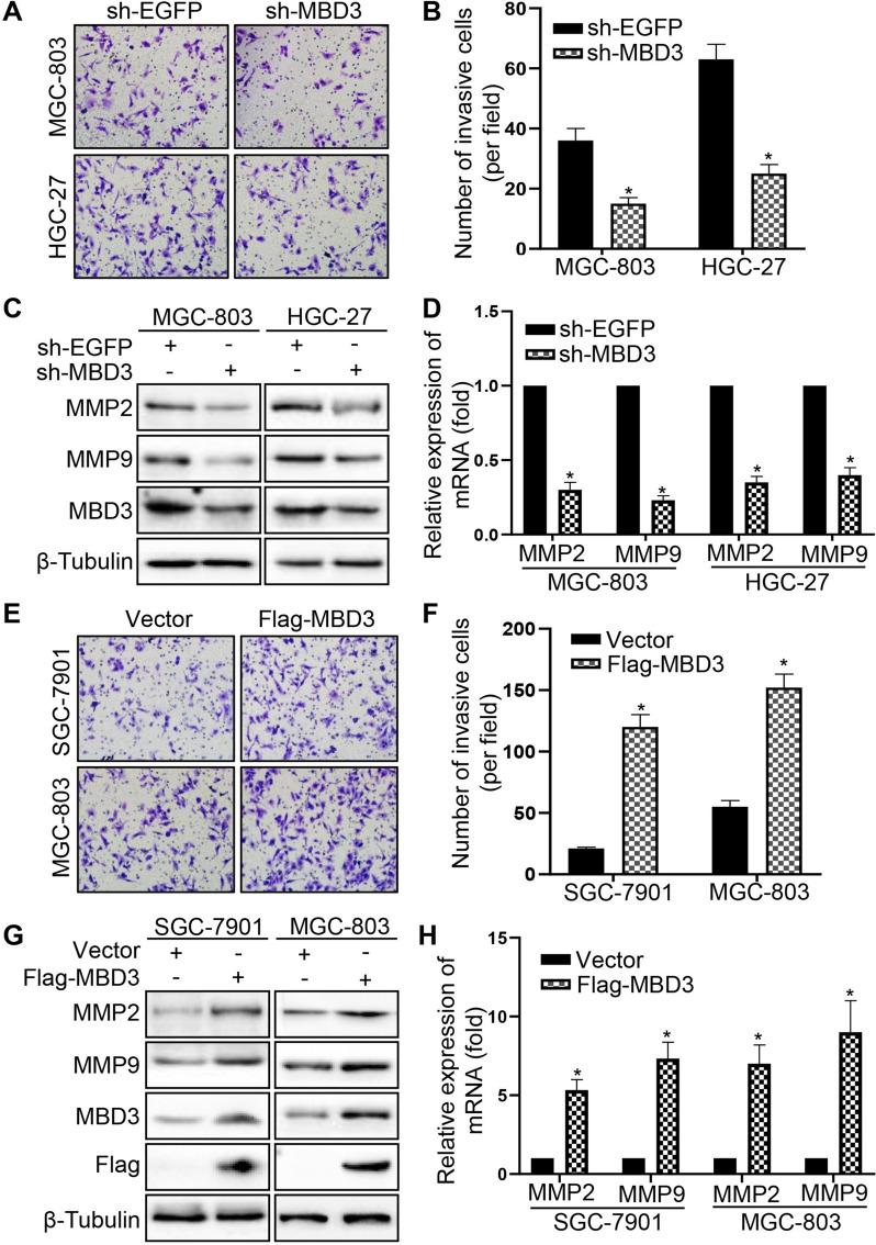 https://cdn.ncbi.nlm.nih.gov/pmc/blobs/1861/10768447/f15e6be920cd/12575_2023_228_Fig3_HTML.jpg