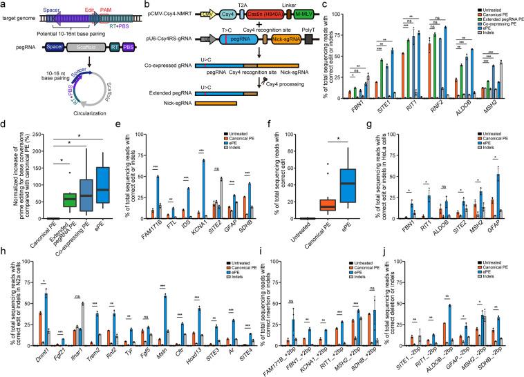 https://cdn.ncbi.nlm.nih.gov/pmc/blobs/1862/8486859/113b5b650d41/41422_2021_520_Fig1_HTML.jpg