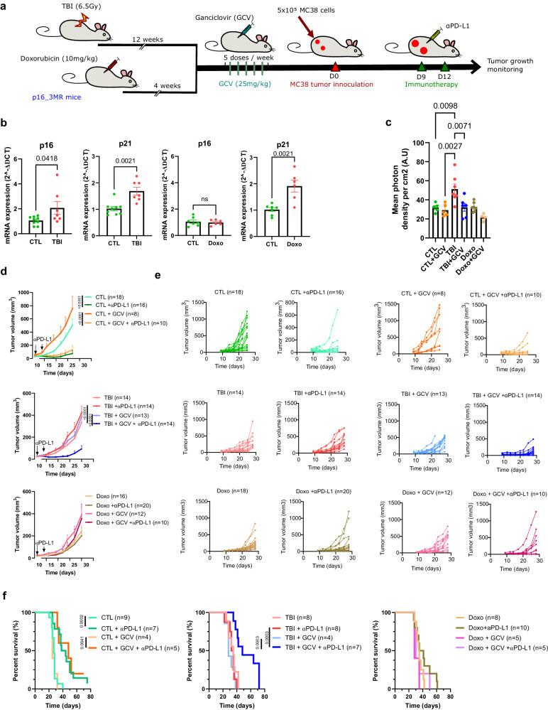 https://cdn.ncbi.nlm.nih.gov/pmc/blobs/1865/10948808/26ac47a7605a/41467_2024_46769_Fig1_HTML.jpg