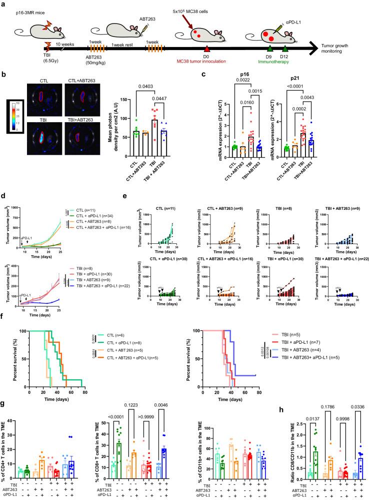 https://cdn.ncbi.nlm.nih.gov/pmc/blobs/1865/10948808/64147e826730/41467_2024_46769_Fig2_HTML.jpg