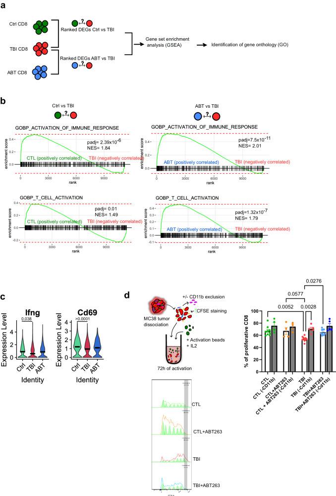 https://cdn.ncbi.nlm.nih.gov/pmc/blobs/1865/10948808/df8956e20b3e/41467_2024_46769_Fig5_HTML.jpg