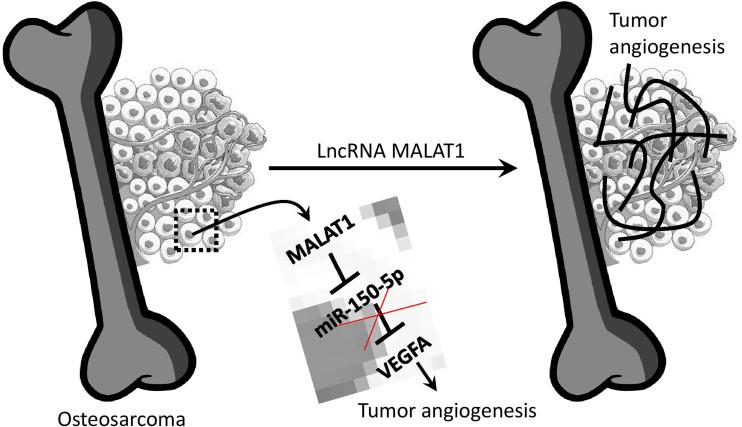 https://cdn.ncbi.nlm.nih.gov/pmc/blobs/1866/8529043/396035253f15/fonc-11-742789-g007.jpg