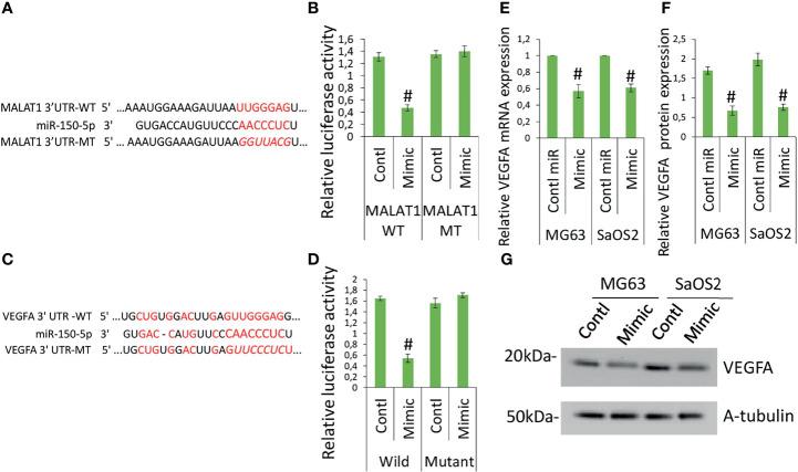 https://cdn.ncbi.nlm.nih.gov/pmc/blobs/1866/8529043/8c2d2c6210da/fonc-11-742789-g004.jpg