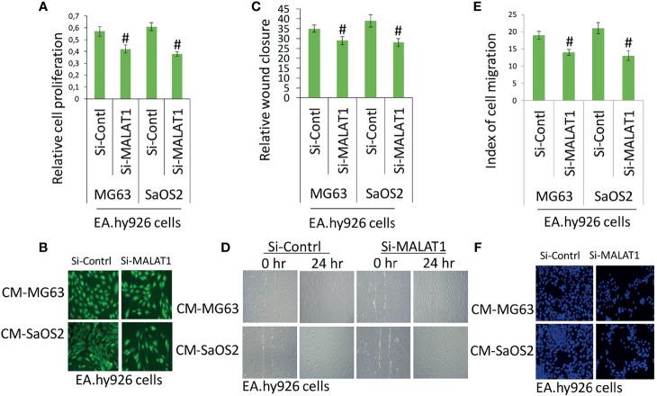 https://cdn.ncbi.nlm.nih.gov/pmc/blobs/1866/8529043/a74d6e28c33b/fonc-11-742789-g002.jpg