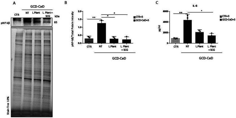 https://cdn.ncbi.nlm.nih.gov/pmc/blobs/1868/12107829/43734d942fcd/fnut-12-1549120-g003.jpg