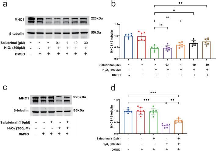 https://cdn.ncbi.nlm.nih.gov/pmc/blobs/1868/12245859/ca8eeb02cf01/fphar-16-1607606-g005.jpg
