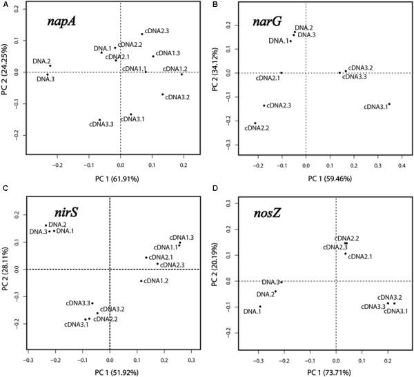 https://cdn.ncbi.nlm.nih.gov/pmc/blobs/1869/6331397/1b4363155e03/fmicb-09-03208-g003.jpg