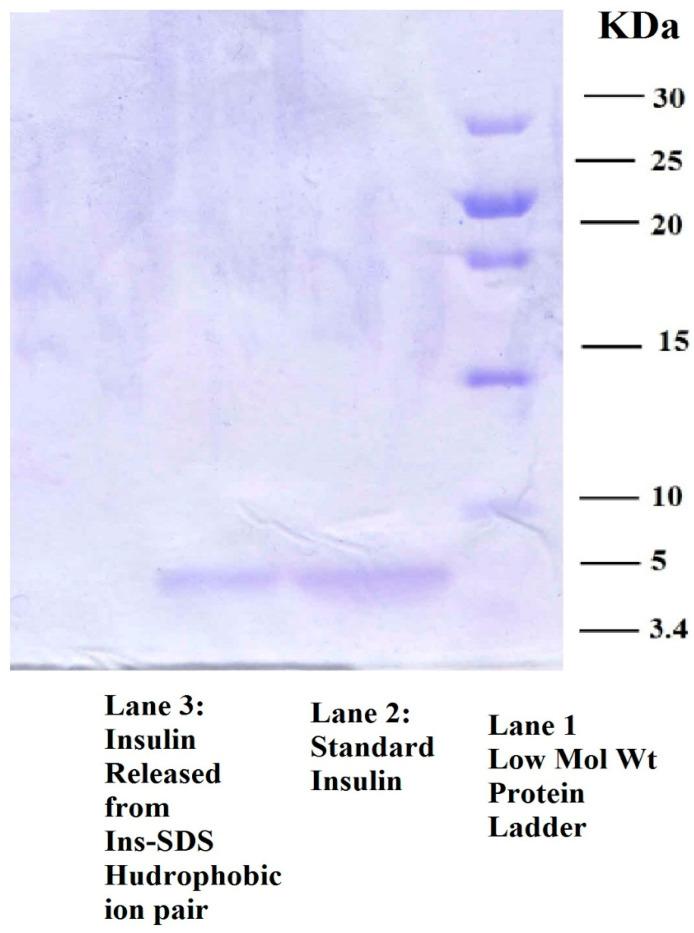 https://cdn.ncbi.nlm.nih.gov/pmc/blobs/186c/10383801/5bf9f2276ebf/pharmaceutics-15-01973-g003.jpg