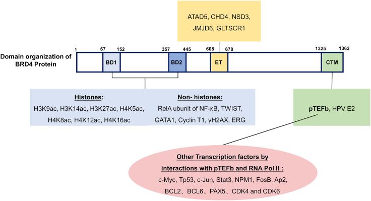 https://cdn.ncbi.nlm.nih.gov/pmc/blobs/186d/8010576/81444d05aae8/gr1.jpg