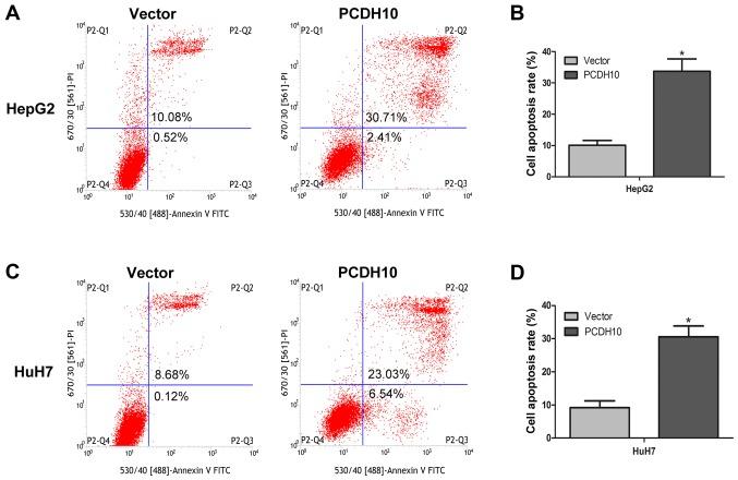 https://cdn.ncbi.nlm.nih.gov/pmc/blobs/186f/5442397/7637dfc9e91e/OR-37-06-3167-g05.jpg