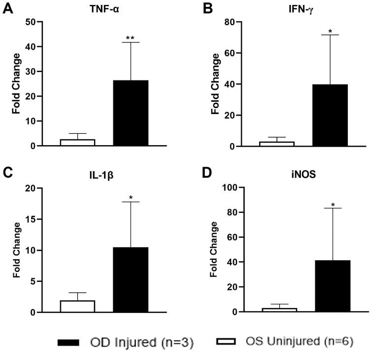 https://cdn.ncbi.nlm.nih.gov/pmc/blobs/1873/10289273/4d68a9808a51/tvst-12-6-14-f006.jpg