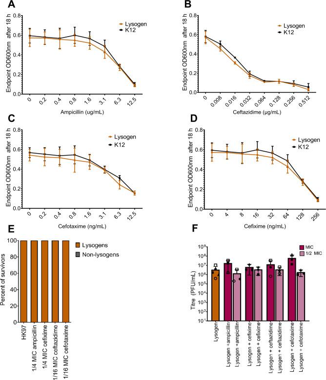 https://cdn.ncbi.nlm.nih.gov/pmc/blobs/1875/11237771/0531aca40a3e/mbio.00504-24.f003.jpg