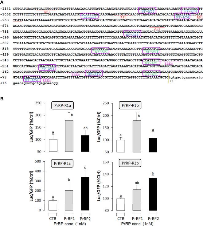 https://cdn.ncbi.nlm.nih.gov/pmc/blobs/1875/8595397/e2656bdfb0b6/fendo-12-762826-g008.jpg