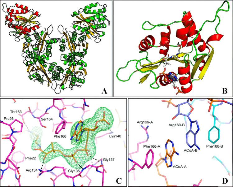 https://cdn.ncbi.nlm.nih.gov/pmc/blobs/1877/11465254/04ffd1e132dc/ao4c06628_0002.jpg