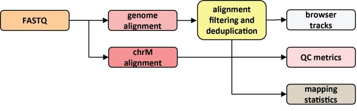 https://cdn.ncbi.nlm.nih.gov/pmc/blobs/1877/12067302/21b6cd4e3b69/BioProtoc-15-9-5306-g002.jpg