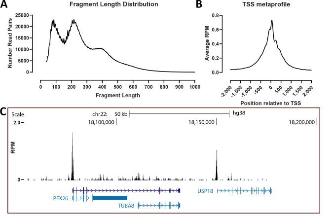 https://cdn.ncbi.nlm.nih.gov/pmc/blobs/1877/12067302/a01b31ac6c4c/BioProtoc-15-9-5306-g003.jpg