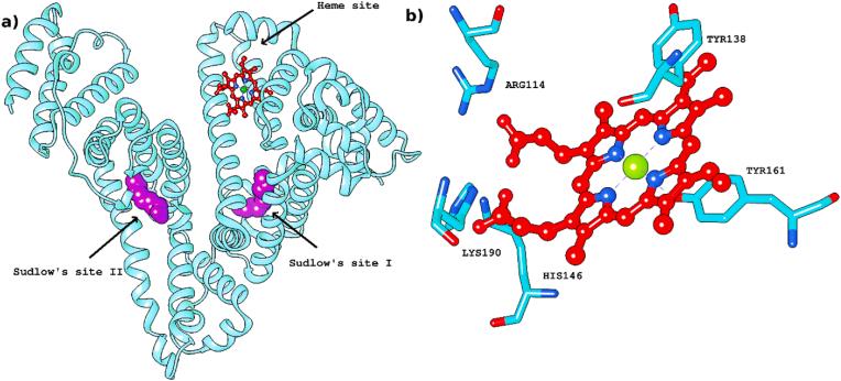 https://cdn.ncbi.nlm.nih.gov/pmc/blobs/187b/10726258/66ada391b69f/gr5.jpg