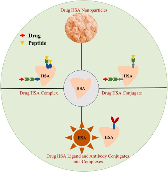 https://cdn.ncbi.nlm.nih.gov/pmc/blobs/187b/10726258/68bc0e0db191/gr7.jpg