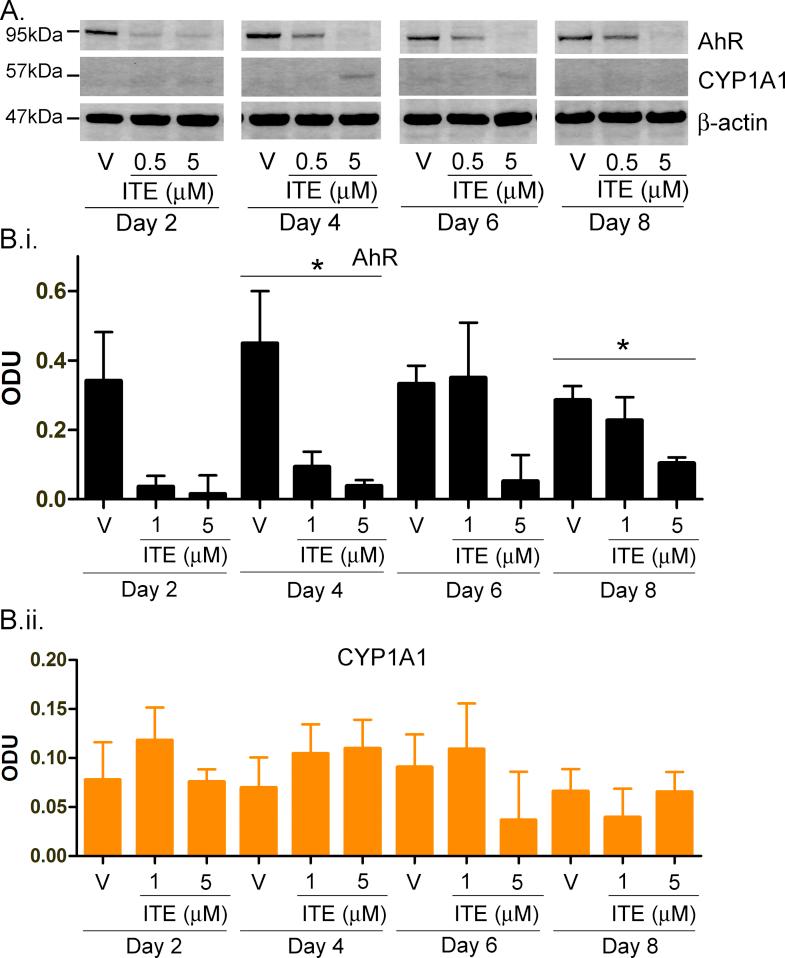 https://cdn.ncbi.nlm.nih.gov/pmc/blobs/187b/3885976/e039fef60ad4/mmc3.jpg