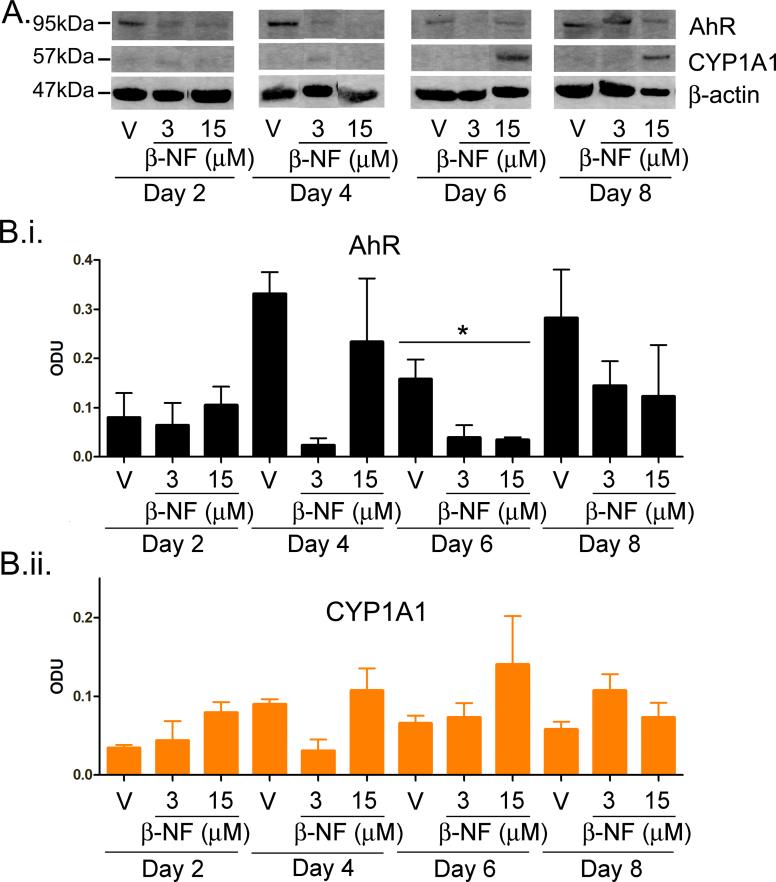 https://cdn.ncbi.nlm.nih.gov/pmc/blobs/187b/3885976/fa892a842b9c/mmc2.jpg