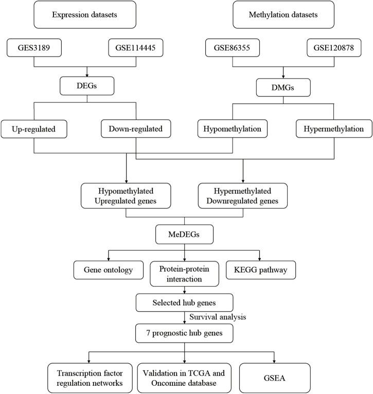 https://cdn.ncbi.nlm.nih.gov/pmc/blobs/187c/9387026/92733284dea9/fgene-13-817656-g002.jpg