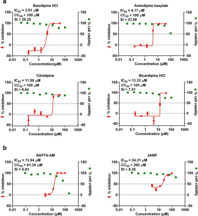 https://cdn.ncbi.nlm.nih.gov/pmc/blobs/1880/7752915/53aae31ab39a/41421_2020_235_Fig2_HTML.jpg