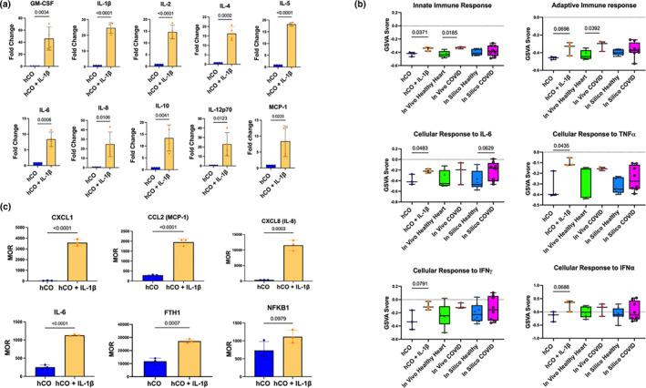 https://cdn.ncbi.nlm.nih.gov/pmc/blobs/1880/9350263/b0d407d39926/TERM-16-799-g006.jpg