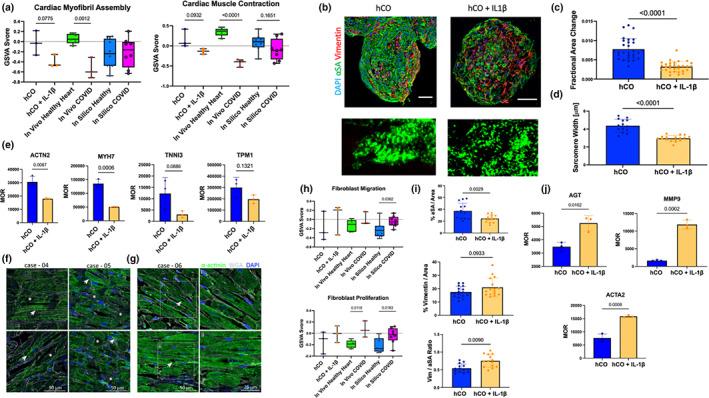 https://cdn.ncbi.nlm.nih.gov/pmc/blobs/1880/9350263/f2401ad76fdd/TERM-16-799-g004.jpg