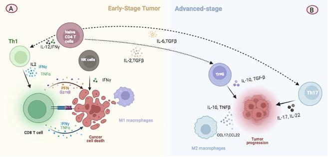 https://cdn.ncbi.nlm.nih.gov/pmc/blobs/1881/11538072/6f996f9342b3/fimmu-15-1399754-g002.jpg