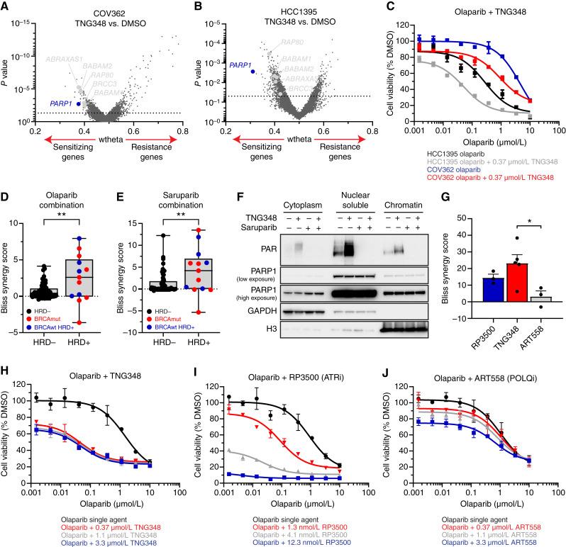 https://cdn.ncbi.nlm.nih.gov/pmc/blobs/1881/12046316/7a40ed2b61c4/mct-24-0515_f4.jpg